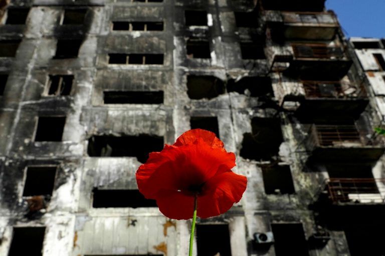 In der Stadt Mariupol, die im Zuge des russischen Angriffskriegs in der Ukraine fast völlig zerstört wurde, blüht eine Mohnblume. AFP