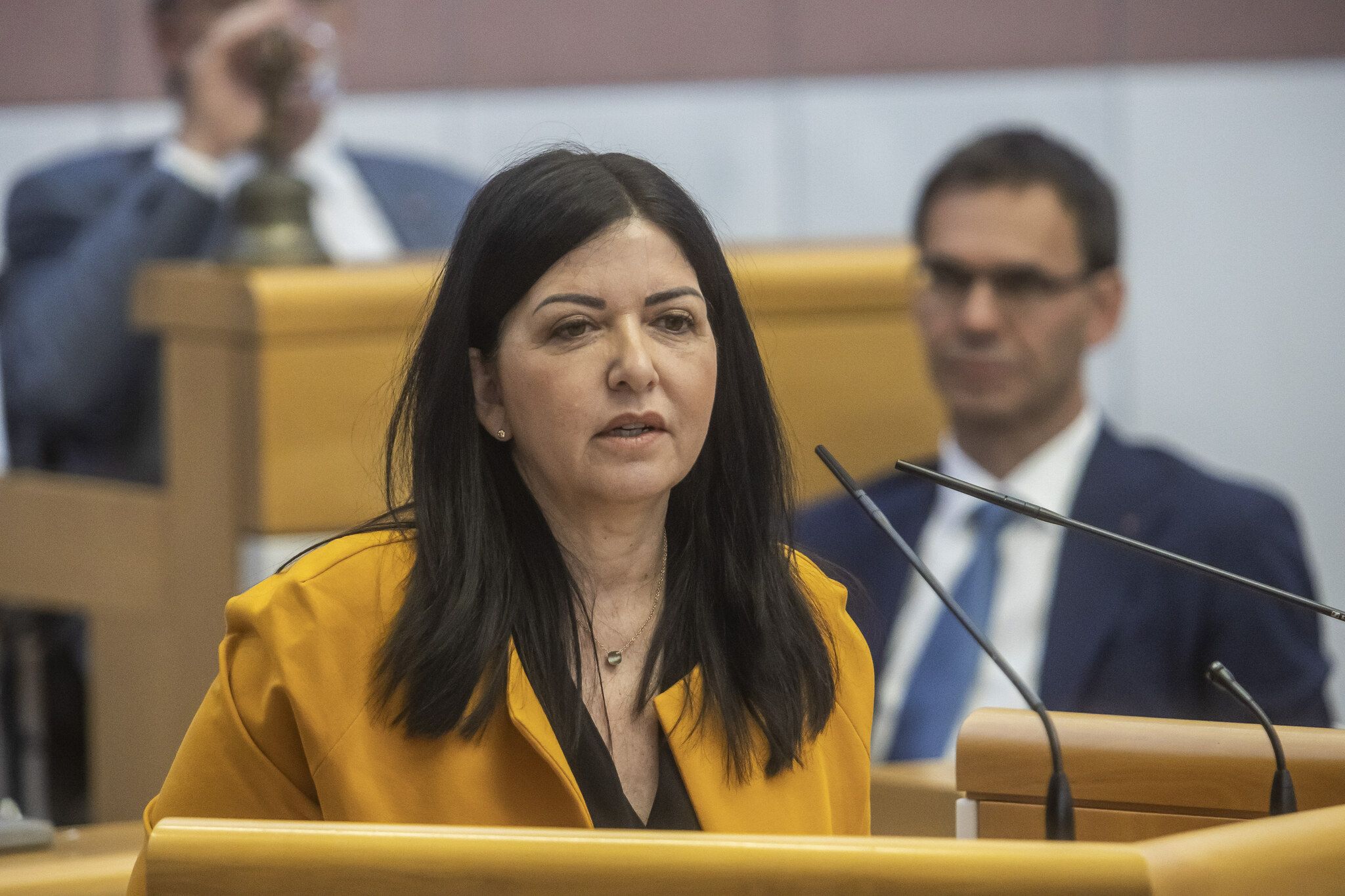 <p class="caption">Manuela Auer hat eine Anfrage an LH Wallner eingebracht. <span class="media-container dcx_media_rtab" data-dcx_media_config="{}" data-dcx_media_type="rtab"> </span><span class="marker">VN/RP</span></p>