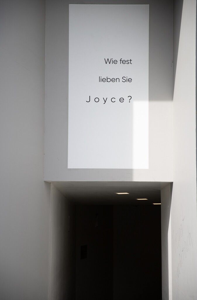 Verena Roßbacher hat einen Persönlichkeitstest kreiert, mit dem man den Grad seiner individuellen Liebe zu Joyce ausrechnen kann. Kühn