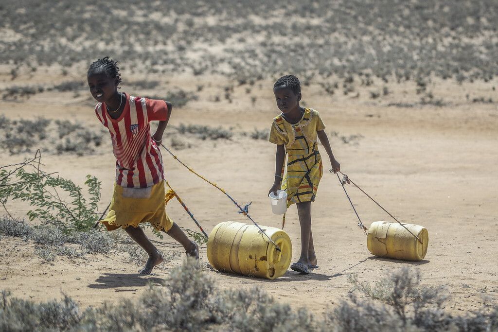 18,4 Millionen von Dürre am Horn von Afrika bedroht