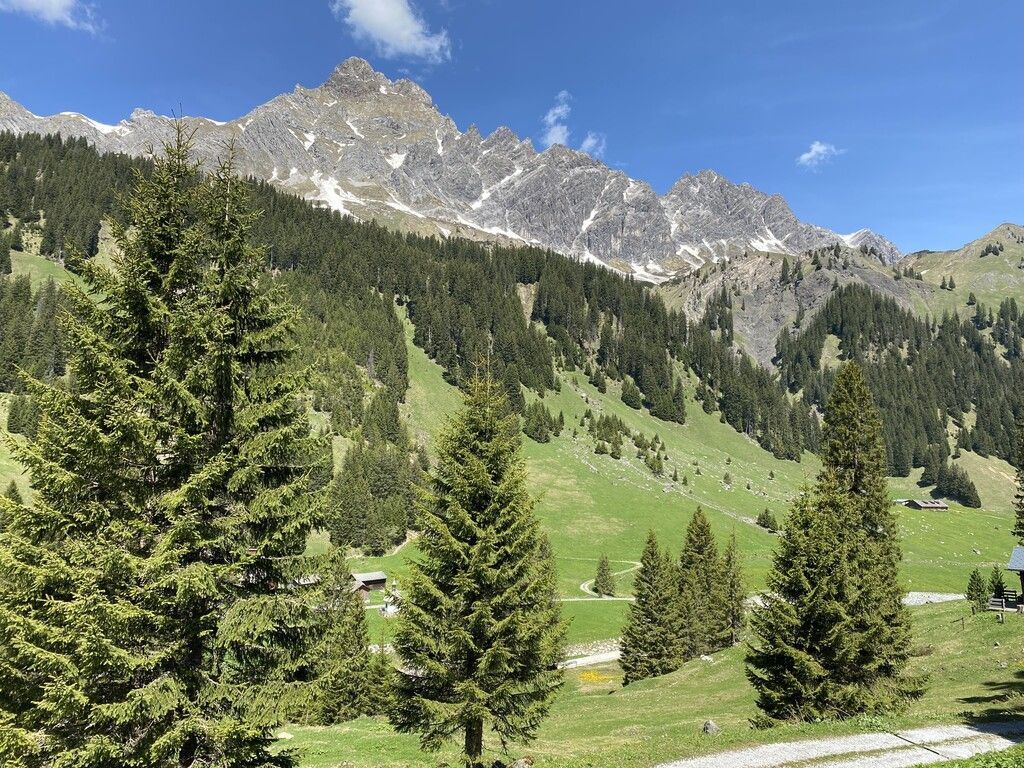 Jugend in die Natur