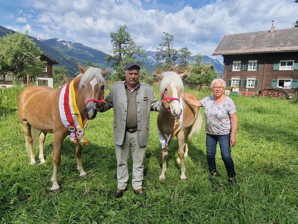 Mit Heu und Hafer zum Zuchterfolg