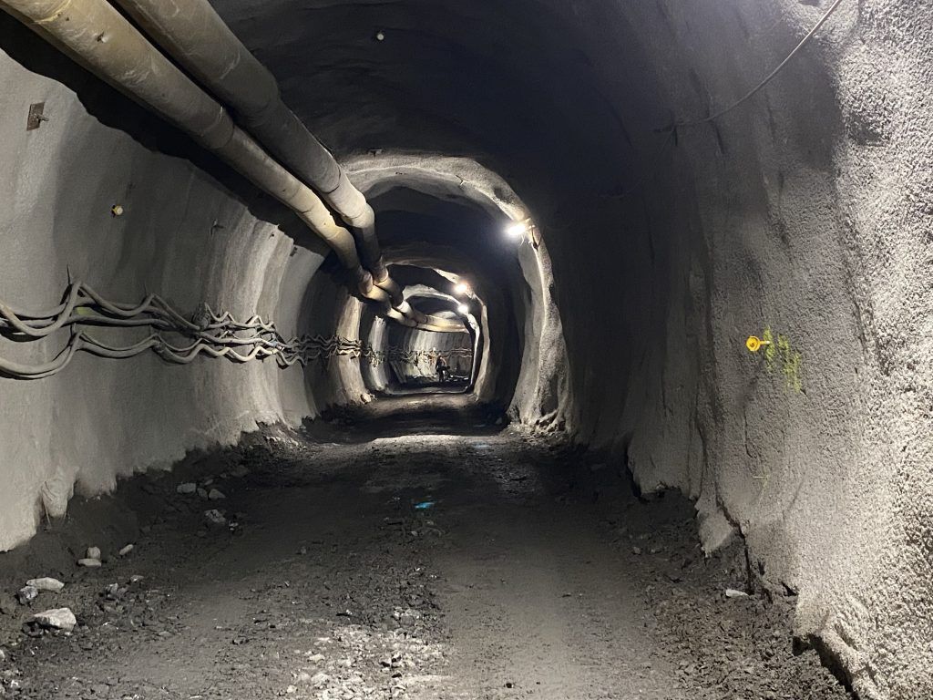 Tunnelspinne nun mit teurerem Preisschild