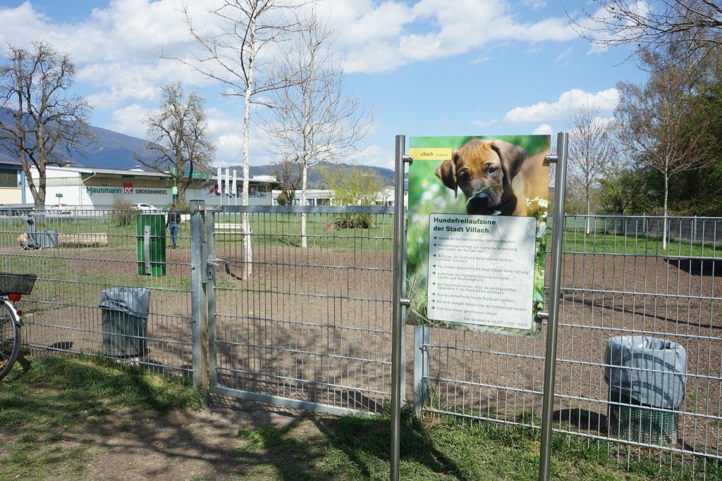 Bettelnder Hund brachte Frau ins Straucheln
