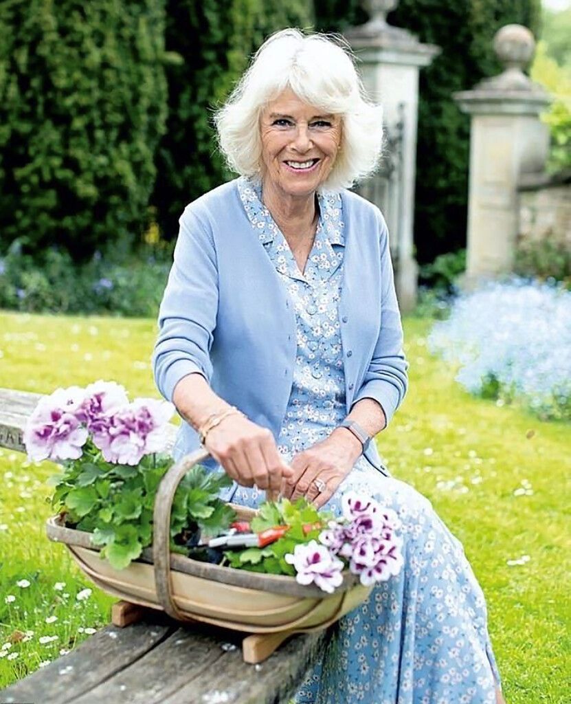 Kate setzt Stiefschwiegermutter Camilla in Szene