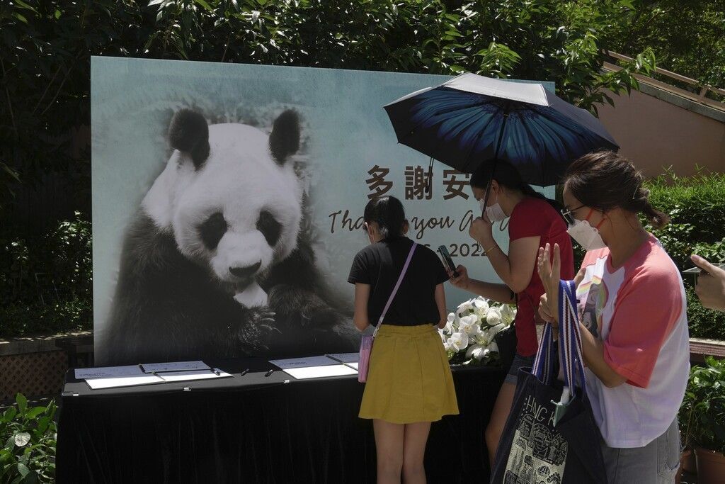 Der älteste Pandabär der Welt ist tot
