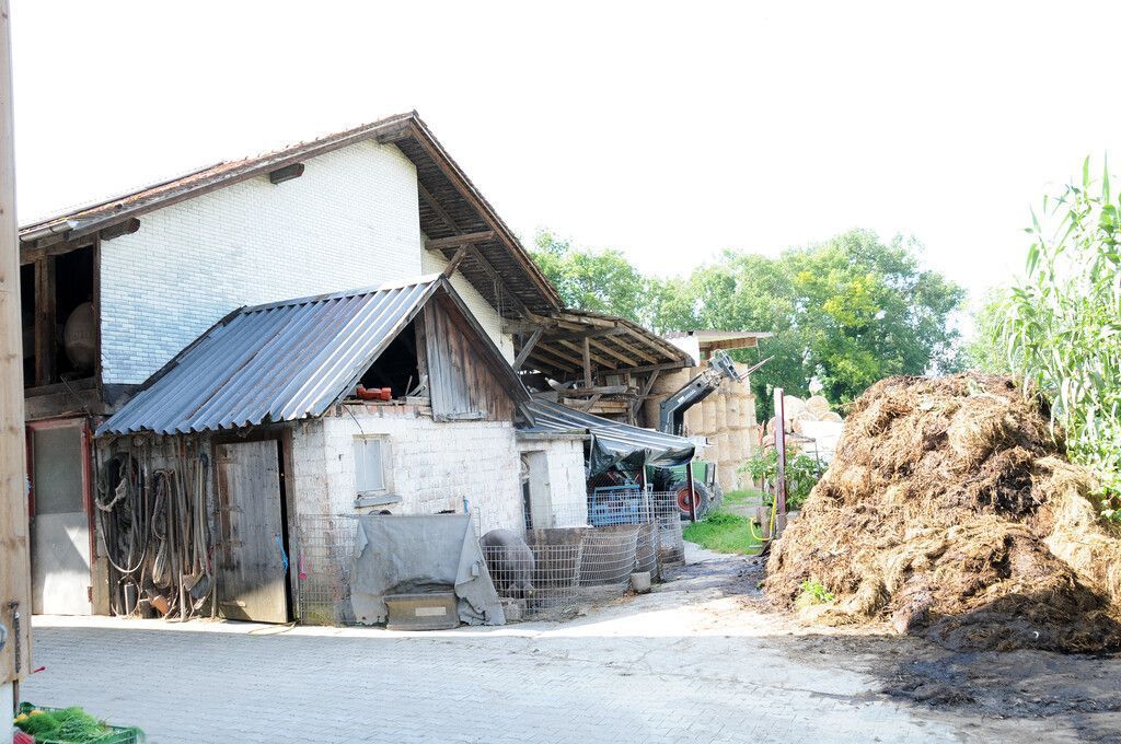 Stadel in Höchst darf höher werden