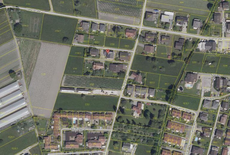 Einfamilienhaus in Höchst um 780.000 Euro verkauft