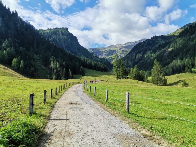 (5) Gurtis Herkunft des Namens zurückzuführen  auf „Curzius/Curtin“,  ein Einzelhof mit ausreichend Grund Einwohnerzahl 310 Erwähnenswert Kirche Mariä Heimsuchung, Volksschule, Musikverein Gurtis,  Feuerwehr Gurtis