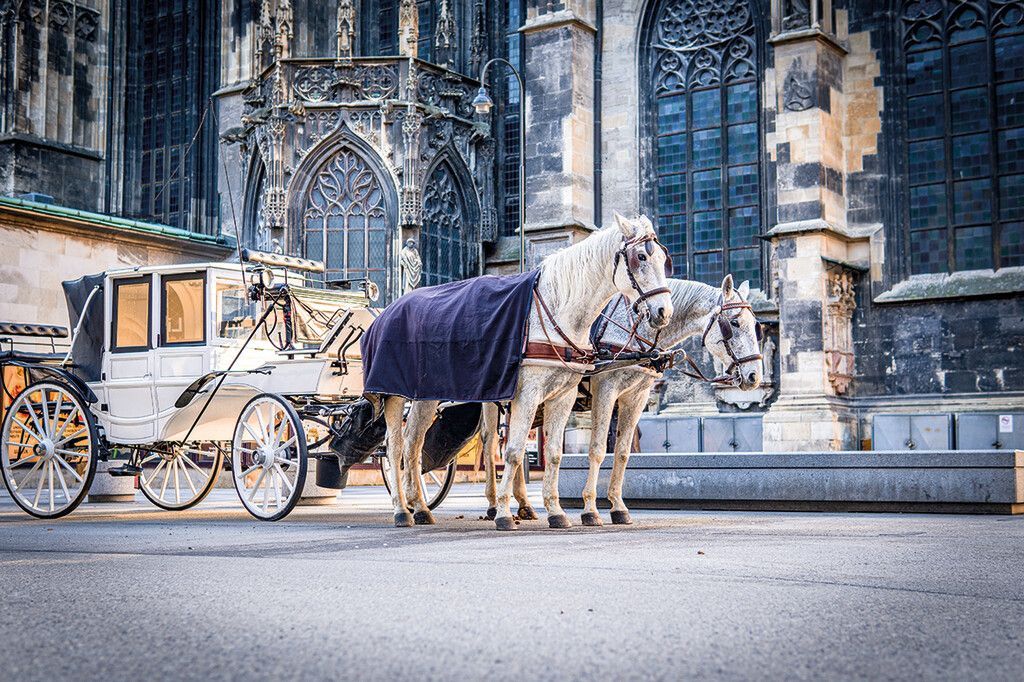 Mit der Kutsche durch die Innenstadt