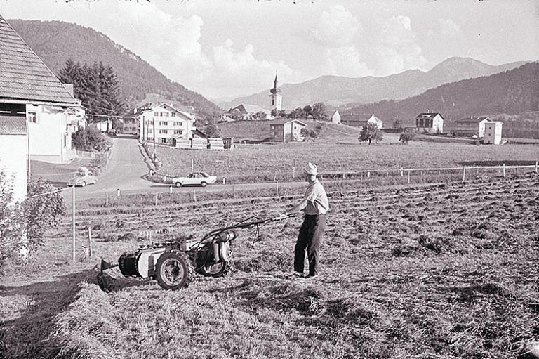 Hittisau, Heuernte, 1969