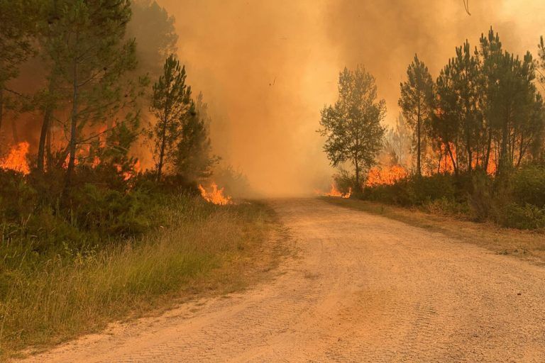 In Teste-de-Buch südlich der französischen Großstadt Bordeaux wurden am Mittwoch fünf Campingplätze wegen der Waldbrände sicherheitshalber geräumt. AP