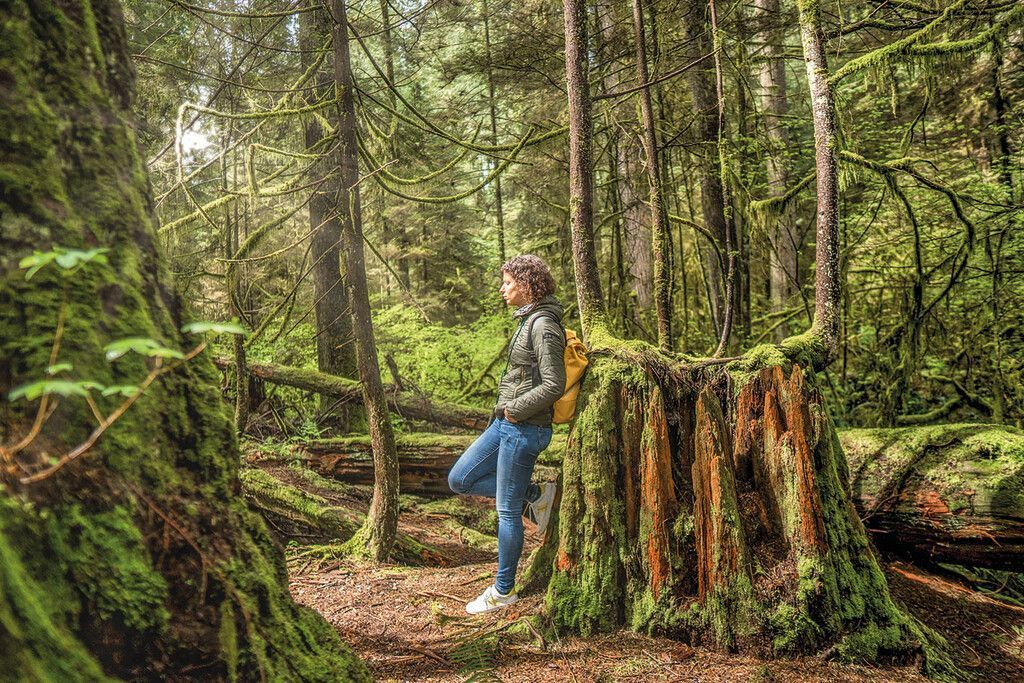 Die Natur spüren: „Waldbaden“  im Norden von Vancouver
