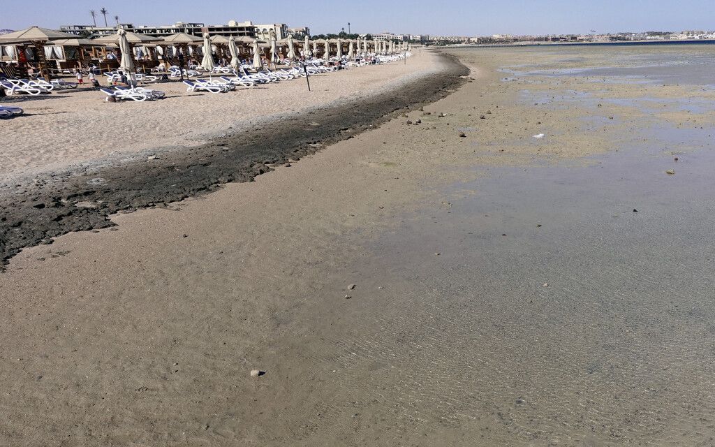 Gleich zwei tödliche Haiattacken in Ägypten: Tirolerin unter Opfern