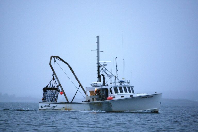 Schätzungen zufolge sind etwa 34 Prozent der wilden Meeresfischbestände überfischt. Ap
