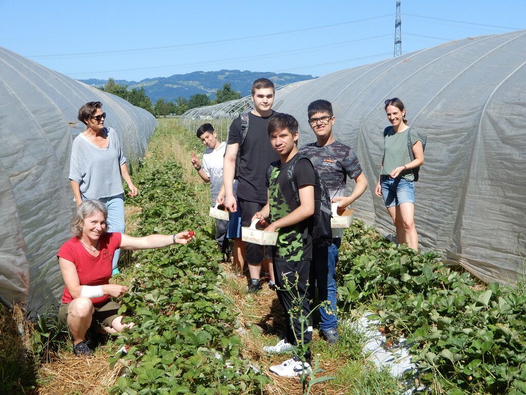 Auf Entdeckungstour in der Erdbeer-Plantage
