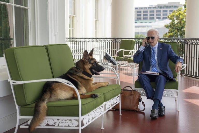 US-Präsident Joe Biden ist derzeit wegen einer Corona-Infektion in Isolation. Seinen Hund Commander scheint es zu freuen. AFP