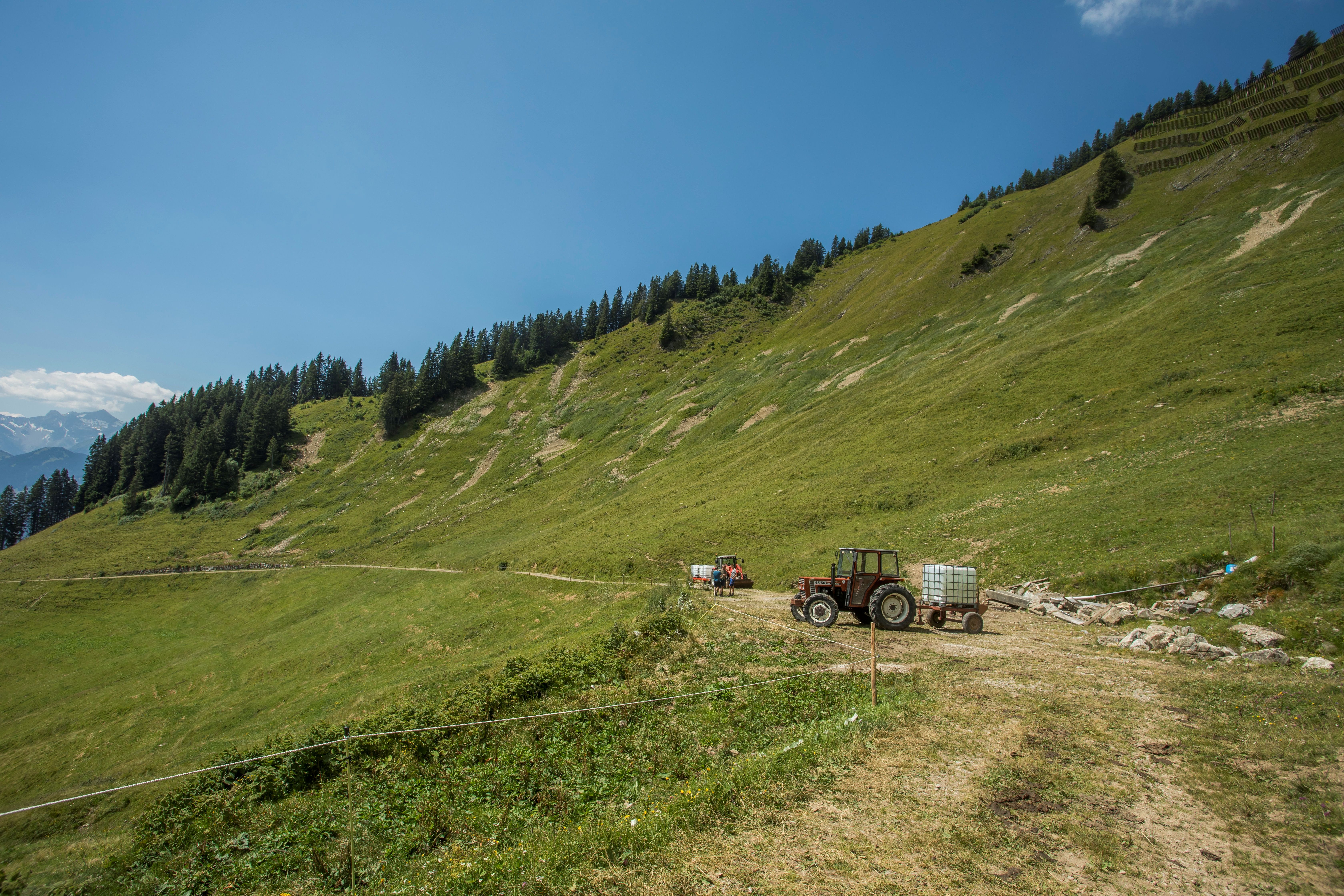 Wassertransport auf Alpen. Das wird immer dann notwendig, wenn der Regen ausbleibt und die Quellen versiegen. <span class="copyright">VN/Paulitsch</span>