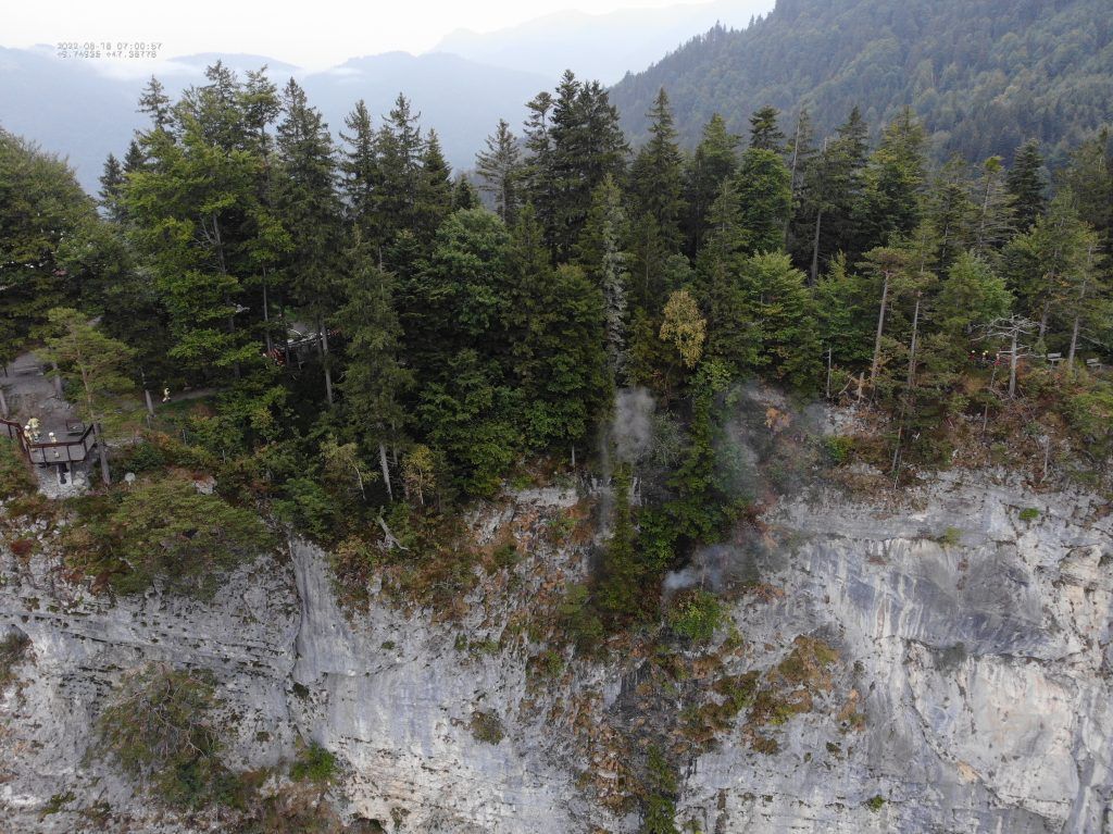 Dornbirn: Kleines Waldstück am Karren in Brand