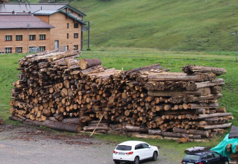 Alternative zum Gas- und Ölspeicher, von denen niemand weiß, wie lange sie noch gefüllt werden: Ein Lager Biomasse aus sicheren regionalen Quellen.