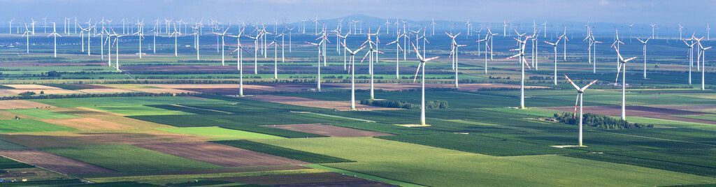 Und wie &#8220;grün&#8221; sind Sie?
