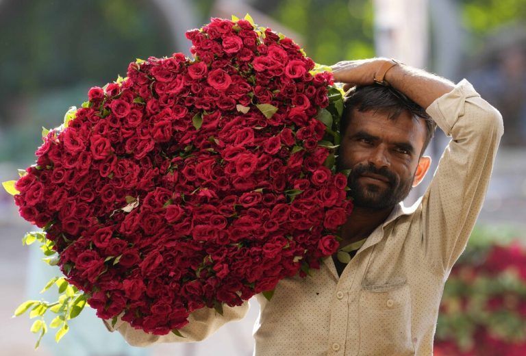 Auf einem Blumenmarkt in Lucknow im indischen Bundesstaat Uttar Pradesh trägt ein Verkäufer einen prachtvollen Strauß roter Rosen. AP