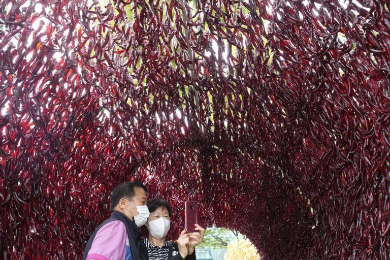 Besucher des HOT Festivals in der südkoreanischen Hauptstadt Seoul knipsen in einem Tunnel aus Chilischoten ein Selfie. AP