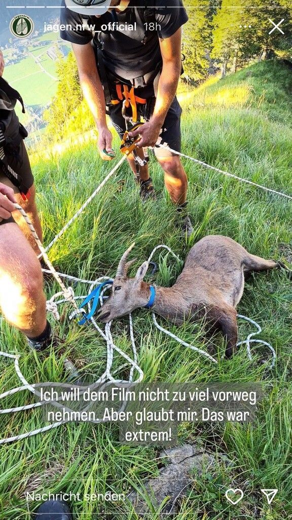 Jagdposse im Wald: Umweltabteilung leitet Prüfung ein. »A5