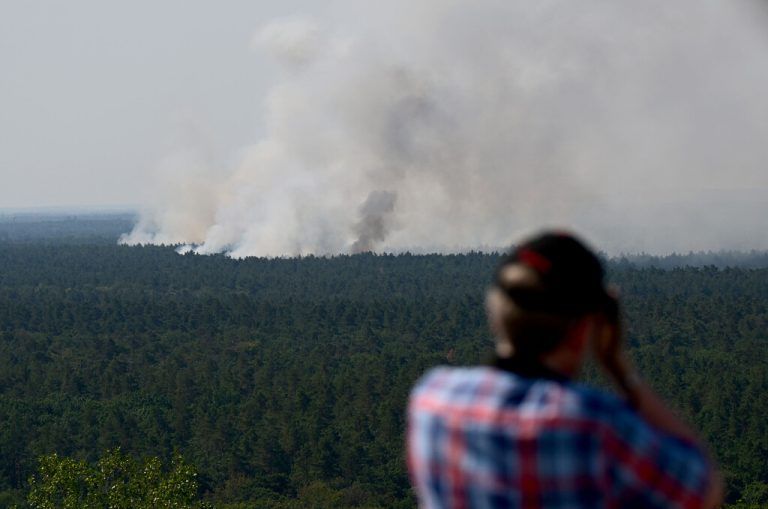 Die Flammen haben sich im trockenen Wald rasant ausgebreitet. AFP