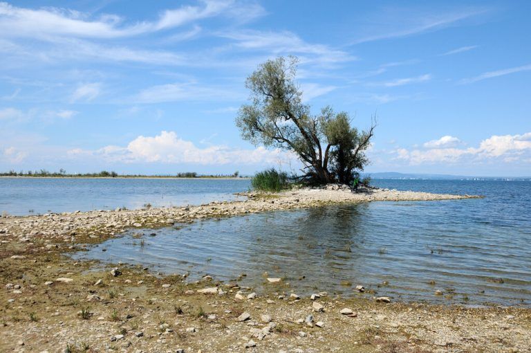 Das Rheindelta ist ein beliebter Hotspot. Besucherinnen und Besucher genießen die idyllische Alpe am Seeufer.<p class="caption">