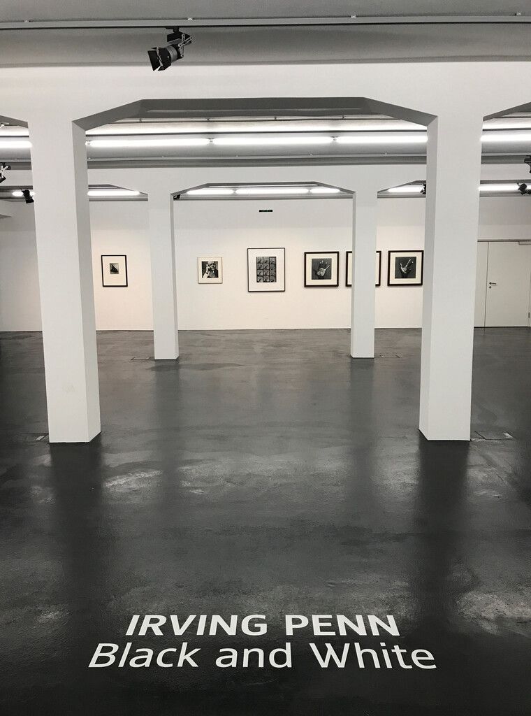 Flatz Museum zeigt Fotografien des Meisterfotografen Irving Penn