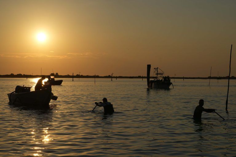 Die zunehmende Versalzung des Po-Deltas macht den Muschelzüchtern zu schaffen. AP