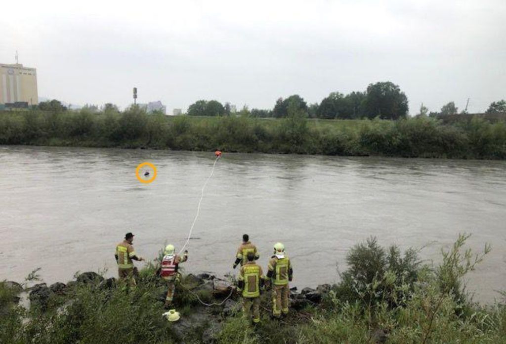 Trotz wahnwitziger Aktion: Survivaltrip-Schwimmer kommt ungeschoren davon