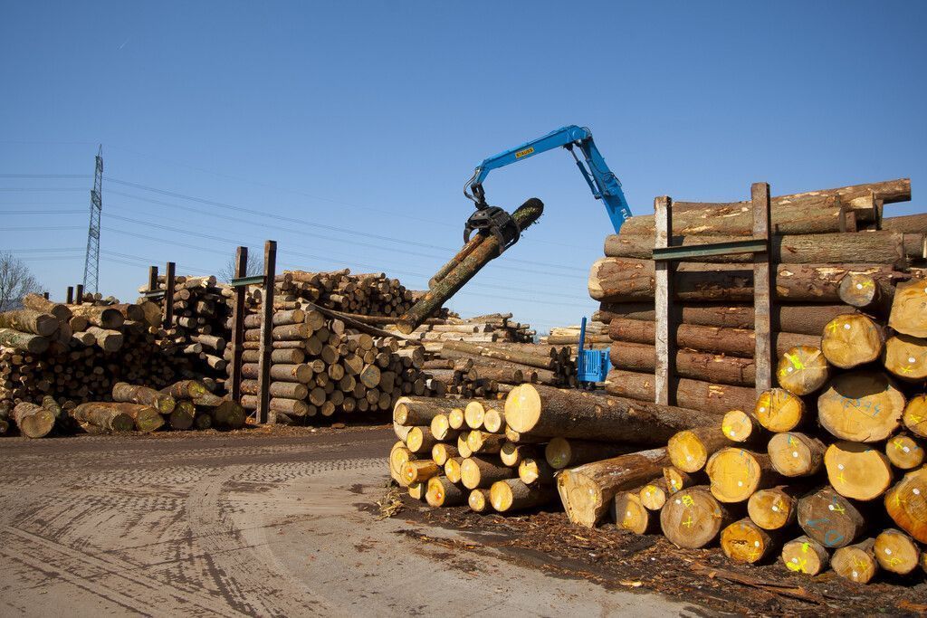 Holz mobilisieren