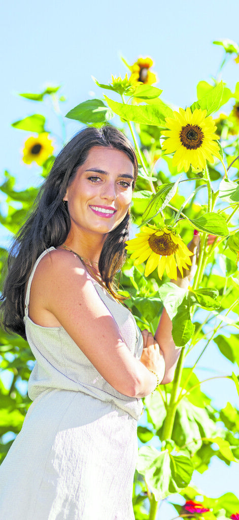 Sommer, Sonne, Sonnenblume