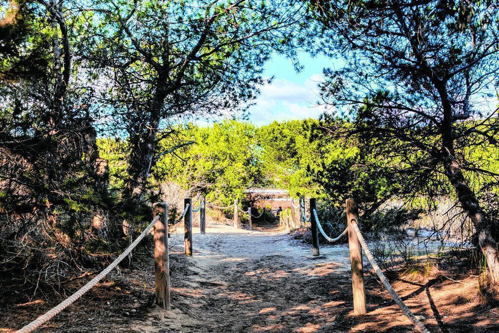 Naturpark: Salines  d‘Eivissa