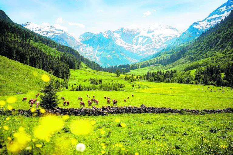 Im Frühjahr oder Spätsommer, wenn oben Schnee liegt, ist die Aussicht besonders spektakulär. Shutterstock (3)