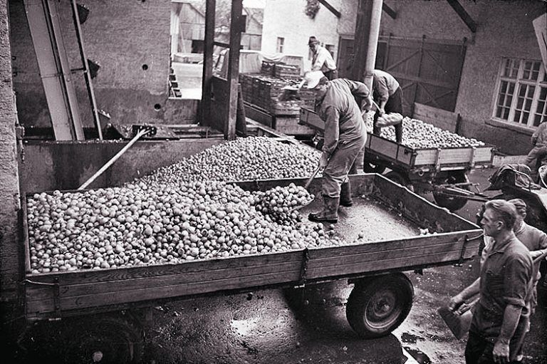 Lauterach, Mosterei Pfanner, 1968