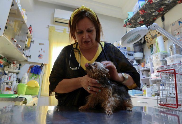 Raoudha Mansour, Tierärztin und Gründerin eines Tierheims, untersucht einen vierbeinigen Patienten in Nabeul, Tunesien. Reuters