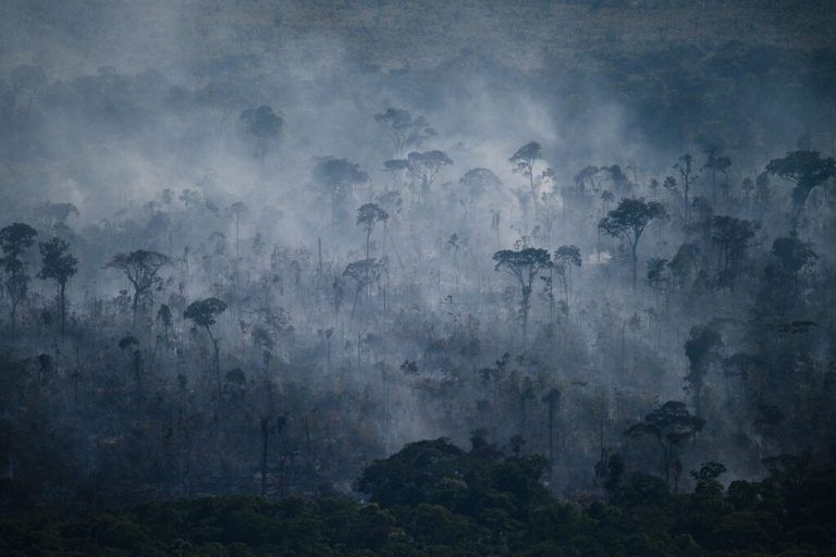 Schlechte Bilanz: Im Amazonas in Brasilien haben Waldbrände im Juli im Vergleich zum Vorjahr um acht Prozent zugenommen. AFP