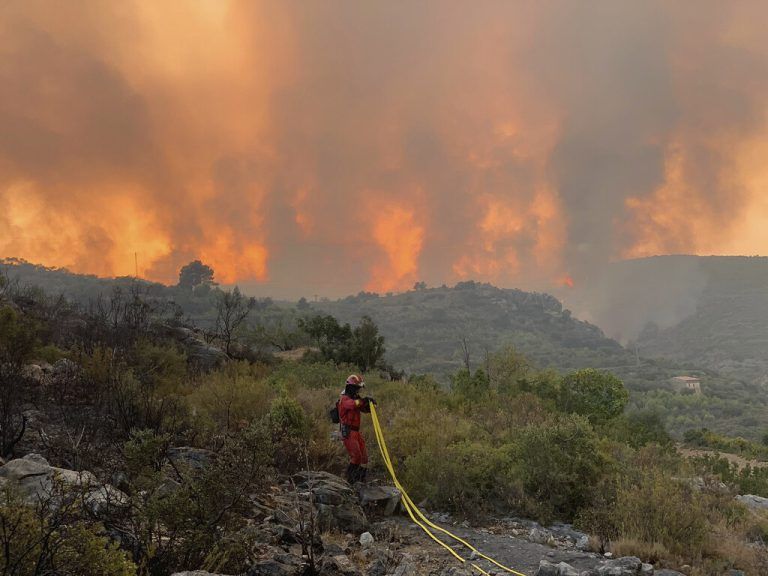 Südlich in der Region von Vall d‘Ebo wurden bereits 11.500 Hektar Wald zerstört. AP