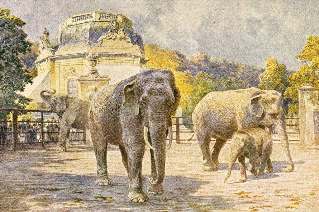 270 Jahre Schönbrunn