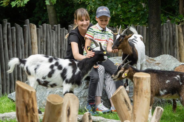 Vor Kurzem wurde der Streichelzoo eröffnet.  APA/Schönbrunn/Zupanc