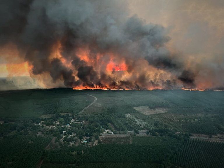 Wegen der rasanten Ausbreitung der Flammen musste eine wichtige Fernstraße bei Bordeaux gesperrt werden.  AFP (2)