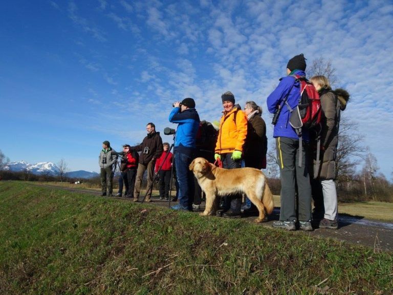 Interessierten die Natur und Tierwelt näher bringen.