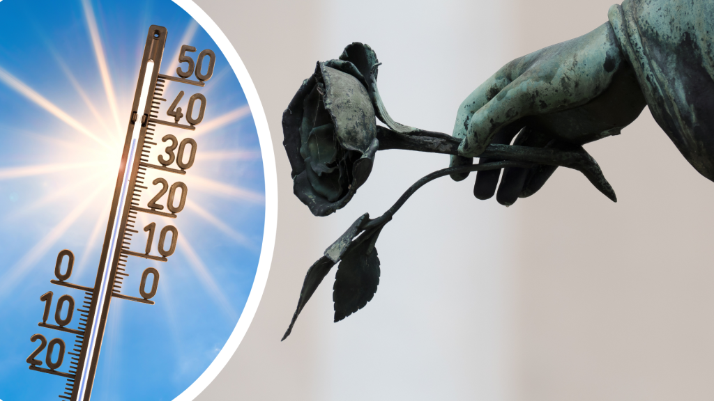 Ungewöhnlich viele Sterbefälle im Sommer