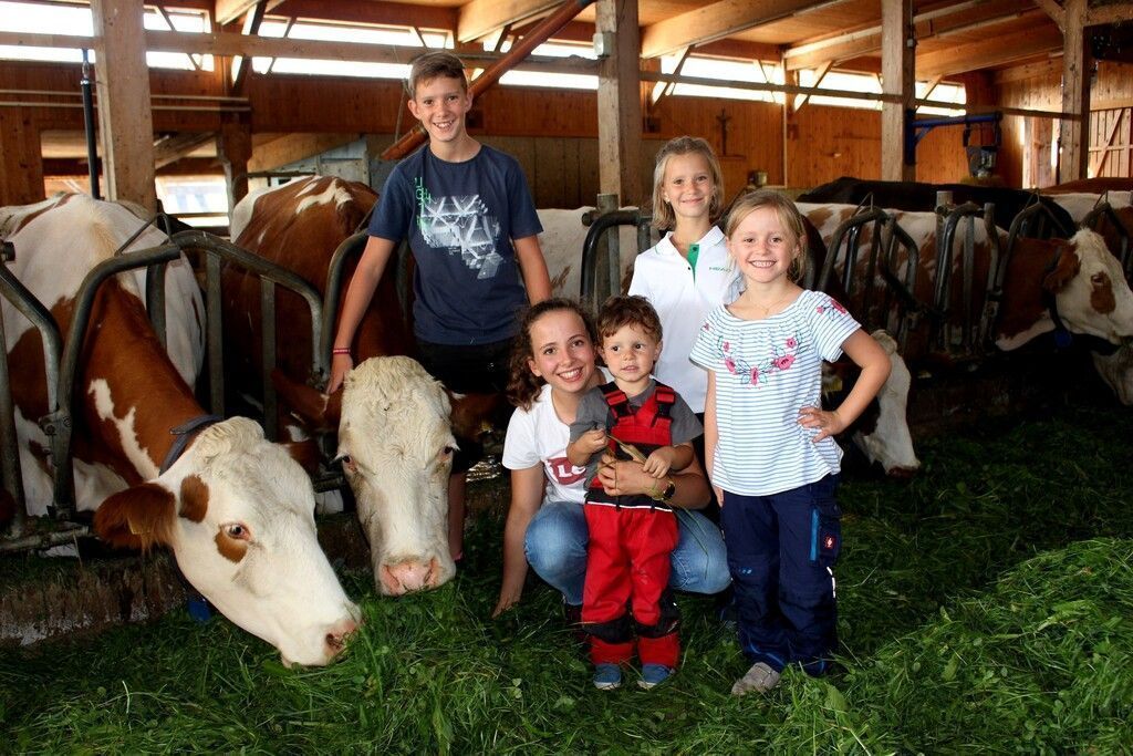 Landwirtschaft am Buchenberg erleben