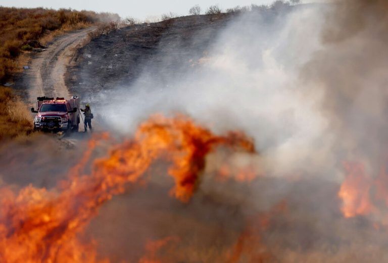 Das Route Fire in Castaic hat bereits mehr als 1800 Hektar Hügelland verwüstet. AFP