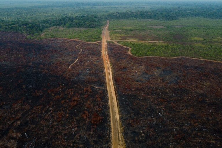 Dieses Luftbild zeigt die Abholzung des Regenwaldes am Amazonas sehr eindrucksvoll. AFP