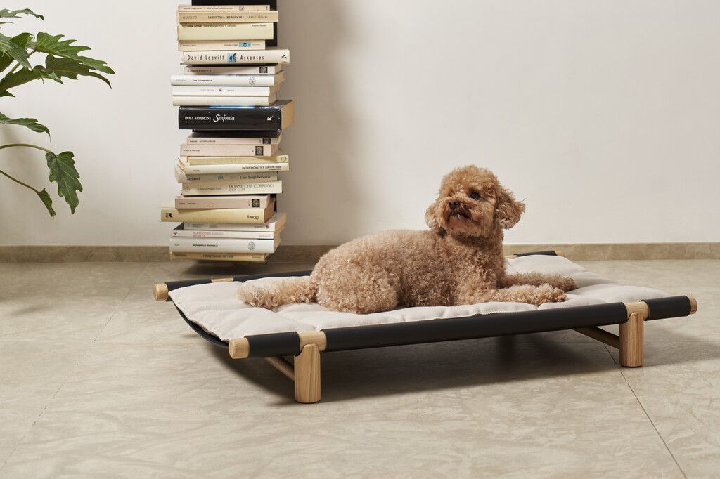 Auch Hunde mögen es gerne kuschelig